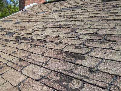 Black splotches on roof