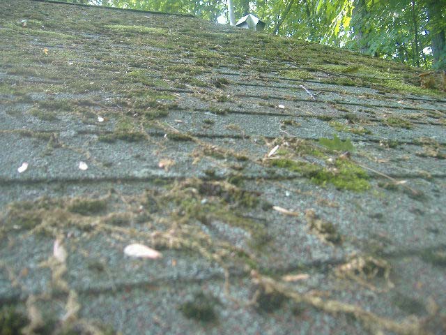 Stacks Image 459